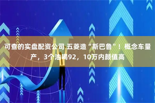 可查的实盘配资公司 五菱造“斯巴鲁”！概念车量产，3个油喝92，10万内颜值高