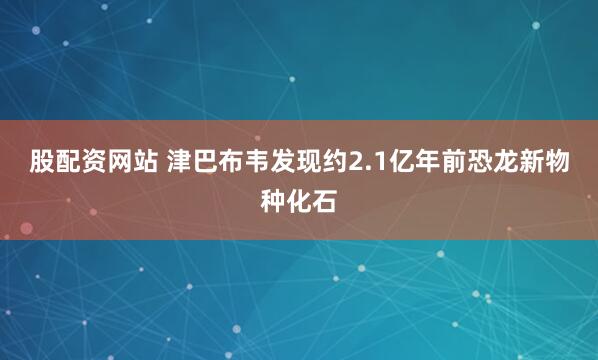 股配资网站 津巴布韦发现约2.1亿年前恐龙新物种化石